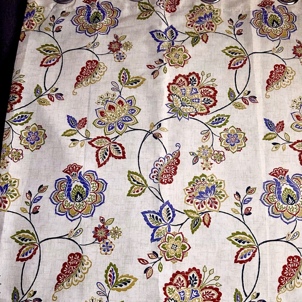 Renaissance Home Fashion Colette Printed Grommet Panel Curtains